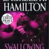 Swallowing Darkness by LKH alt 2